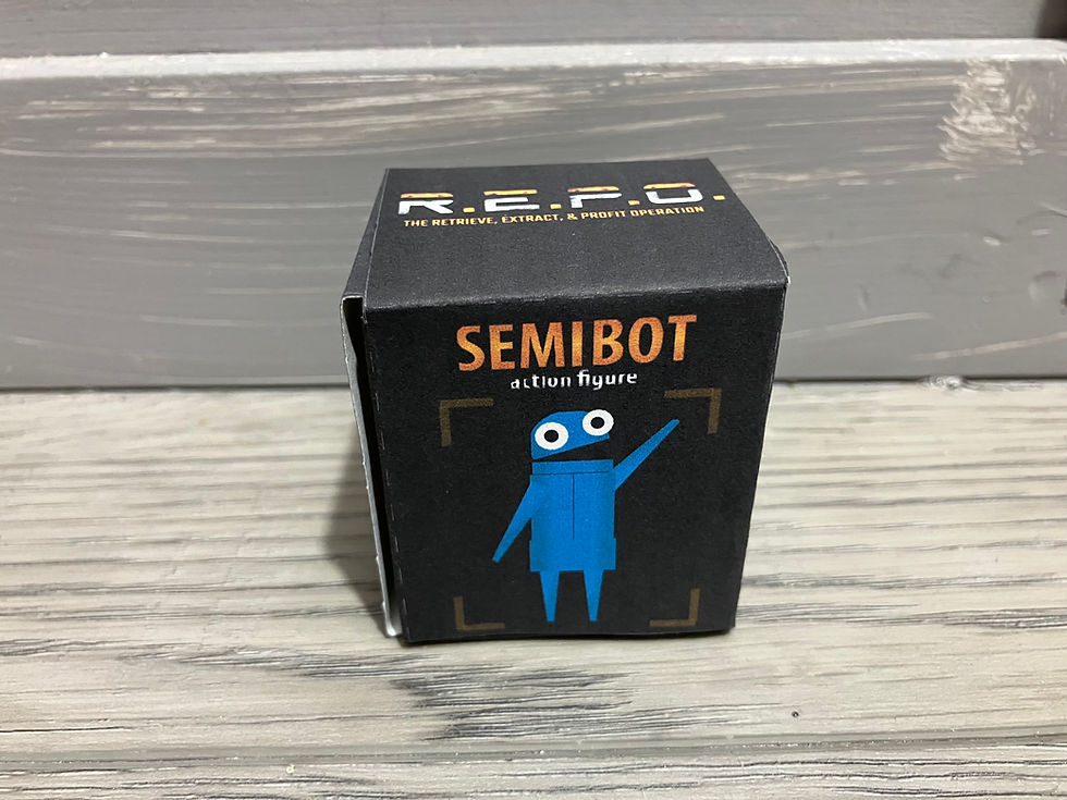repoboxpicture2.jpeg