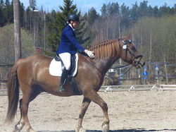 18447093_1363138733732512_5511221662160599856_n