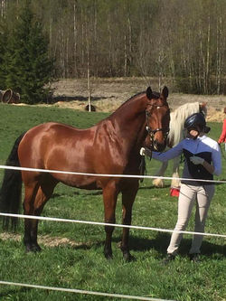 18839128_1375438745835844_2286526635370758179_n