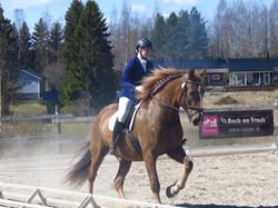 18486043_1363138820399170_4260275990816315115_n