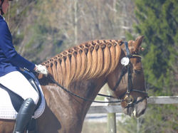 18485409_1363138747065844_3727246904676666908_n (1)