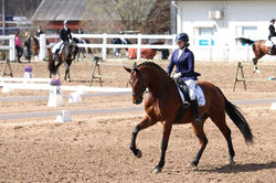 18528077_1365191593527226_2954177546082905552_n