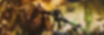backdrop.jpg