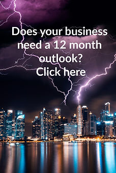 Does you business need a 12 month outloo