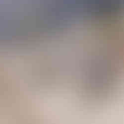 Keller + Steiner AG – Baugespanne