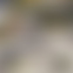 Präzisionsarbeit in der Höhe: Baugespann bis 40 m auf der KVA Winterthur erstellt