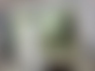 Pintura Eletrostática