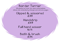 Border Terrier