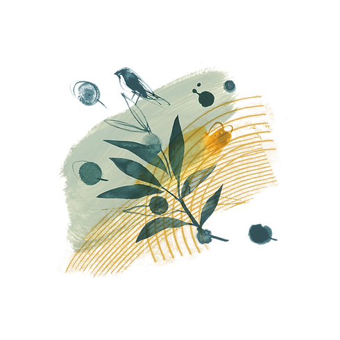 Mikri_Elia_©_Laura_McKendry_FINAL_02_smaller.png