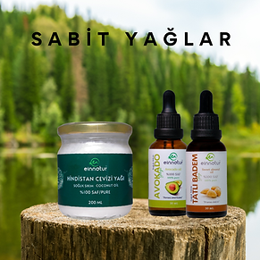 sabit taş ıyıcı yağlar