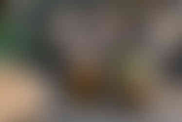 עיצוב פנים רגשי , עיצוב בית רגשי