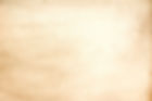 beige-aged-background_edited_edited.jpg