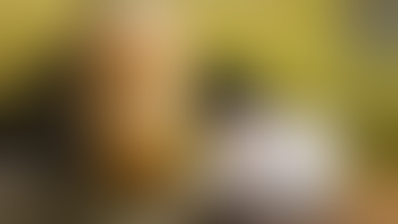 Why You Should Never Take Anything Personally