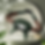ChatGPT Image 29 de abr. de 2026, 08_33_15.png