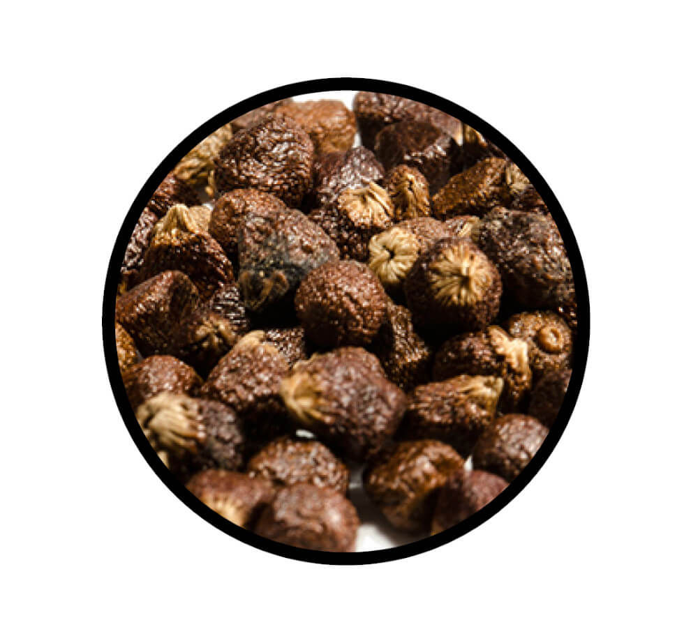 Miniaturbild: Paradieskörner, Guinea-, Malagetta- Pfeffer ganz von STAY SPICED ! kaufen