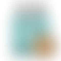 Solty Bowl, knuspriges Toppinggewürz von STAY SPICED ! kaufen