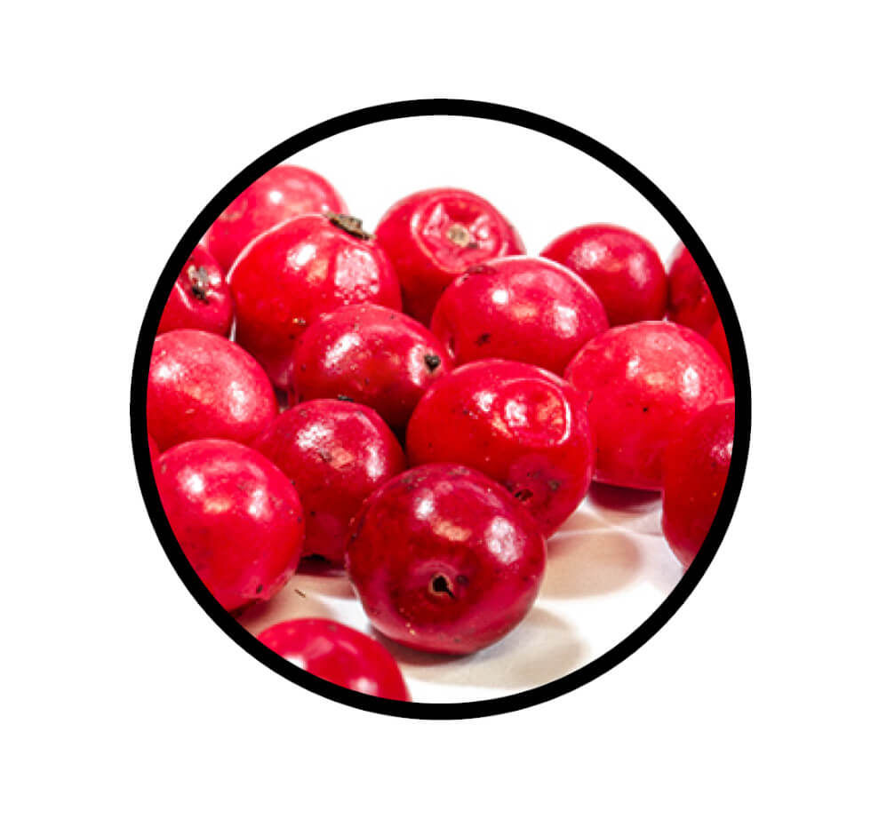 Miniaturbild: Rosa Beeren - roter Pfeffer, ganz von STAY SPICED ! kaufen