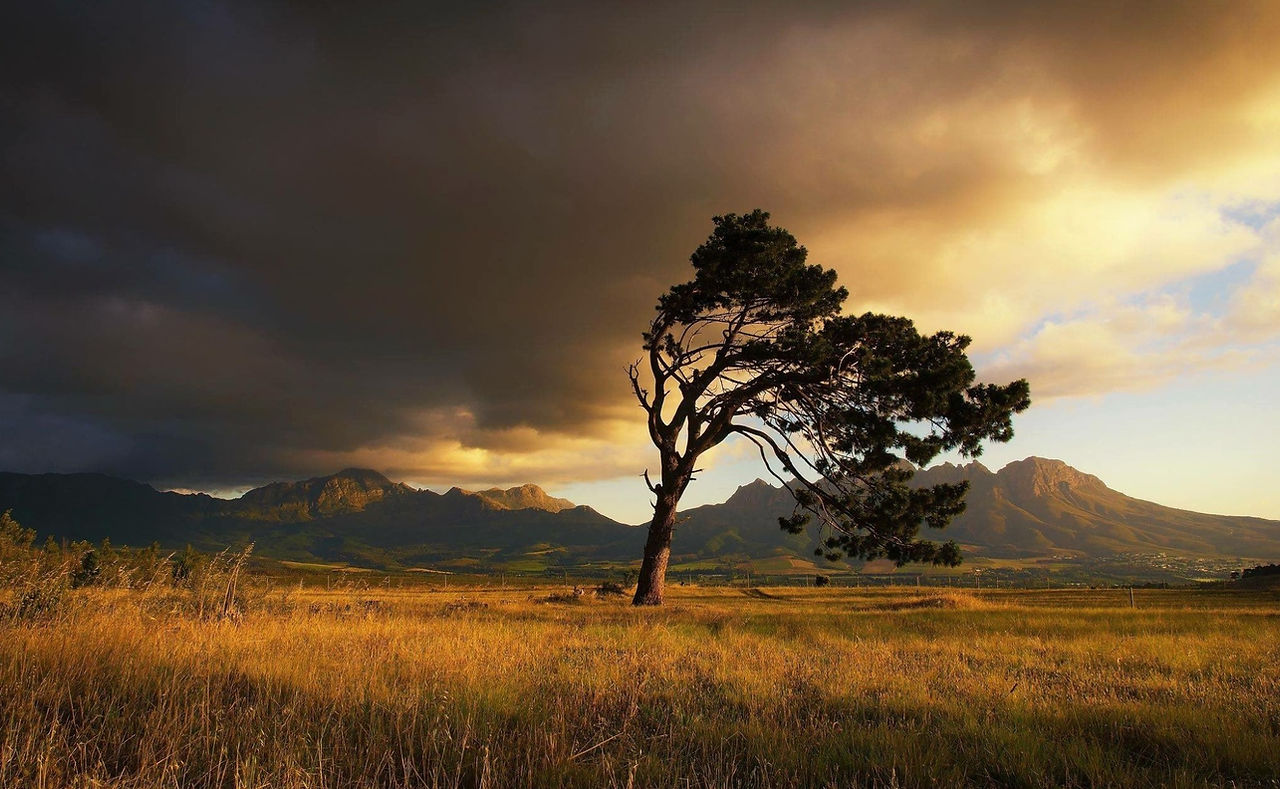 Stormy Sky Dionne Miles_Somerset West_edited.jpg