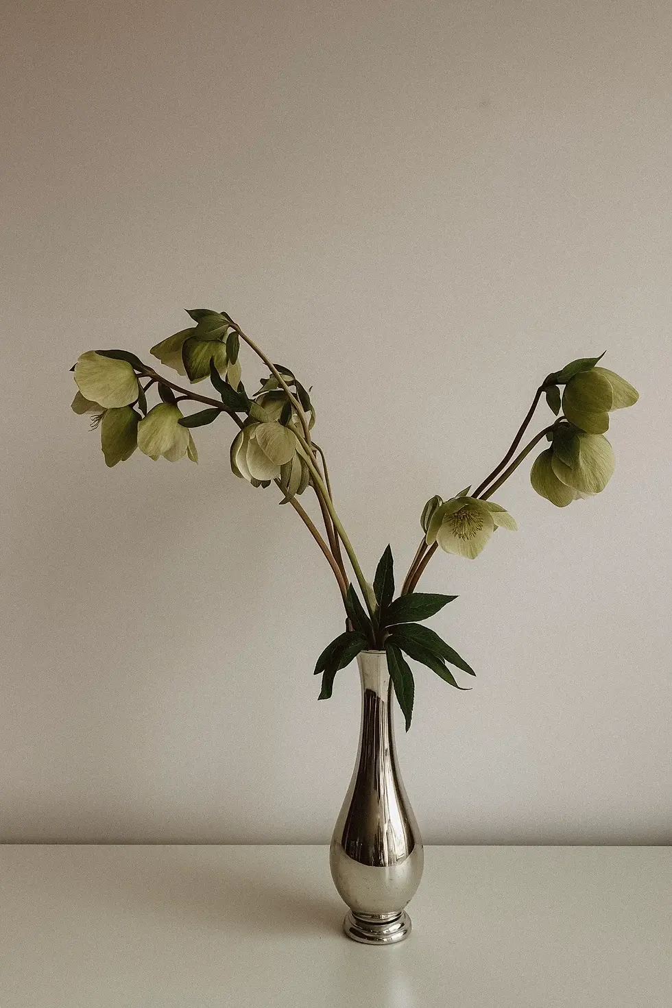 Vintage Stock Photos-34.webp