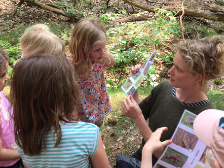 Kinderfeestje in het dierenbos