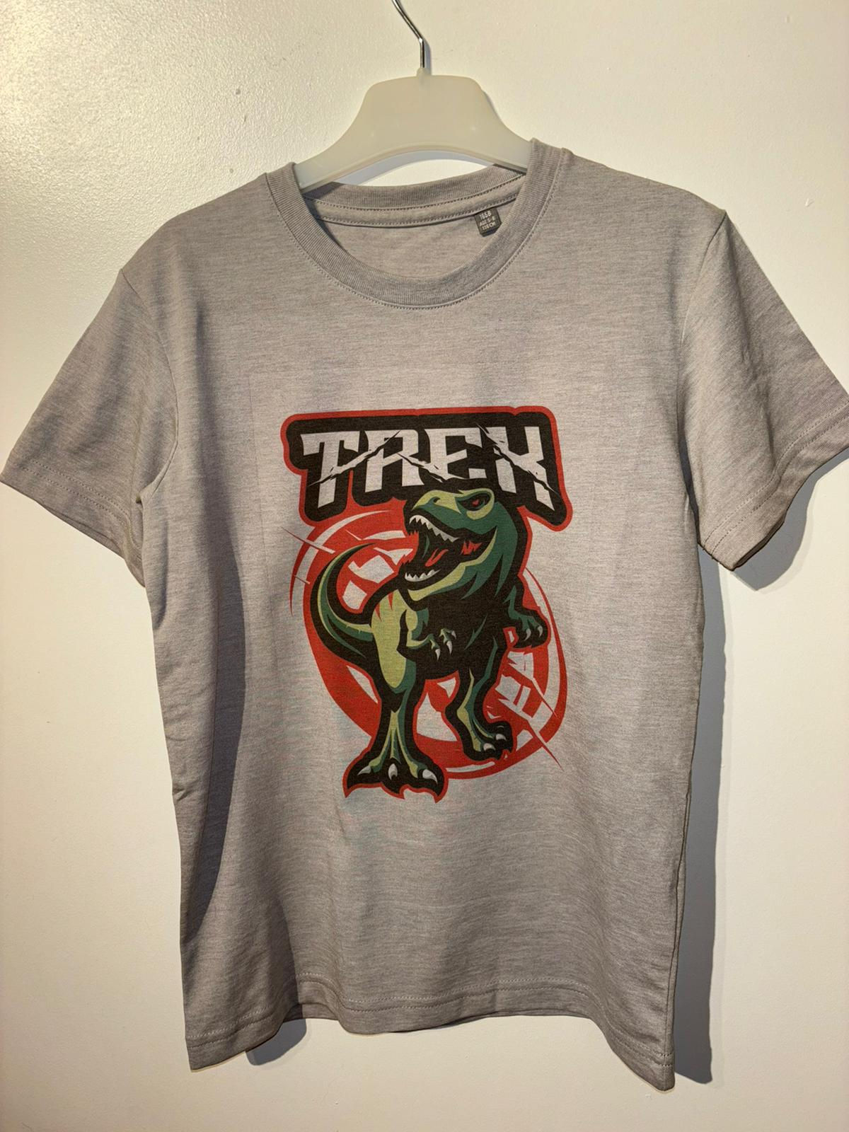 Kids Personalised Printed Trex Graphic T Shirt