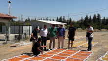 Study Tour to Malatya, Türkiye: Strengthening Regional Collaboration and Knowledge Exchange in the Dried Apricot Sector