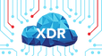 xdr-thue-ngoai.png