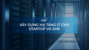 Xây dựng hạ tầng IT cho Startup và SME: Bắt đầu từ đám mây hay tự mua máy chủ?