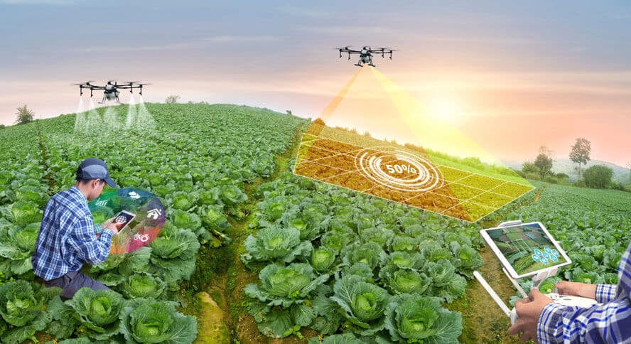 Chuyển đổi Cloud cho nông nghiệp giúp bảo vệ dữ liệu IoT