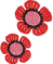 Mohnblumen.png