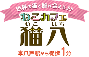 ねこカフェ猫八 ねこカフェ猫八