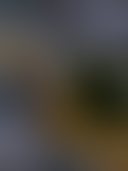 RADIONODE 溫度檢測系統RN400與ISO 22000的積極協同