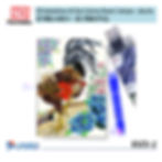 ZIG-KLCS-2-web-D-吳竹禪繞-A4著色卡-chicken-Pictures-1200x1200.jpg