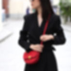 mini shoulder bag