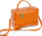 calfskin leather bag