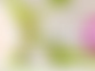 CUIDADOS DE LA MENOPAUSIA