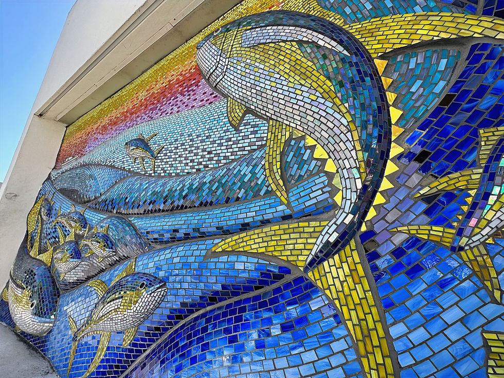 IMG_2296 (1)_edited.jpg