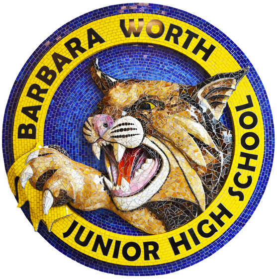 Portfolio Barbara Worth Junior High School