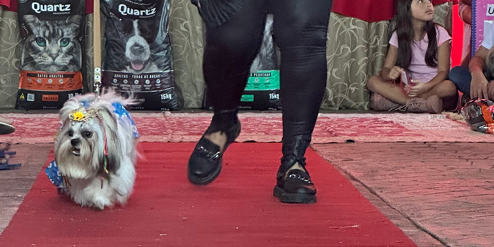 IMG_4039 (1).HEIC