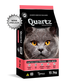quartz gatos filhotes.png