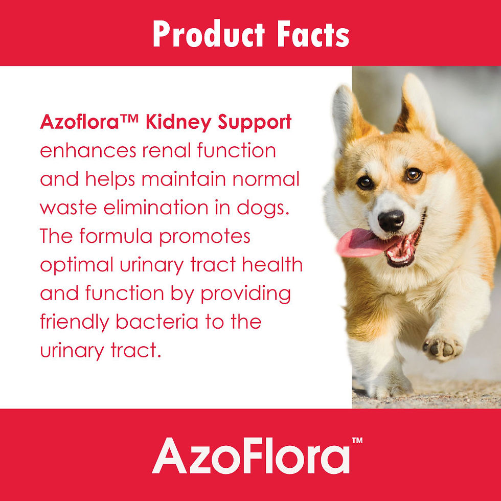 Thumbnail: Azoflora Kidney Support (90 Soft Chews)
