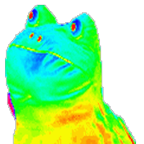 CleverNarrowAsianlion-size_restricted.gi