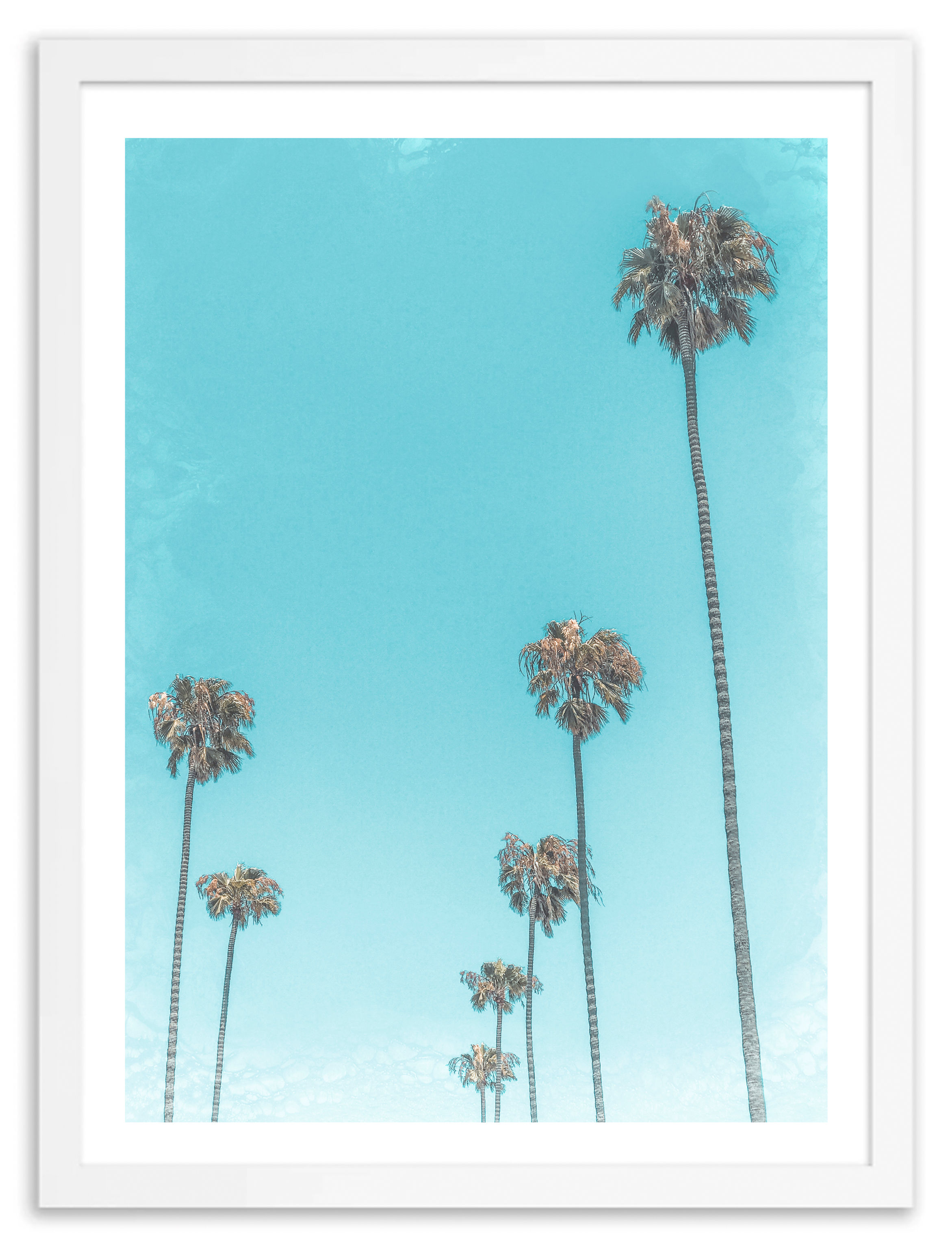 "Sunset Blvd." - Beverly Hills