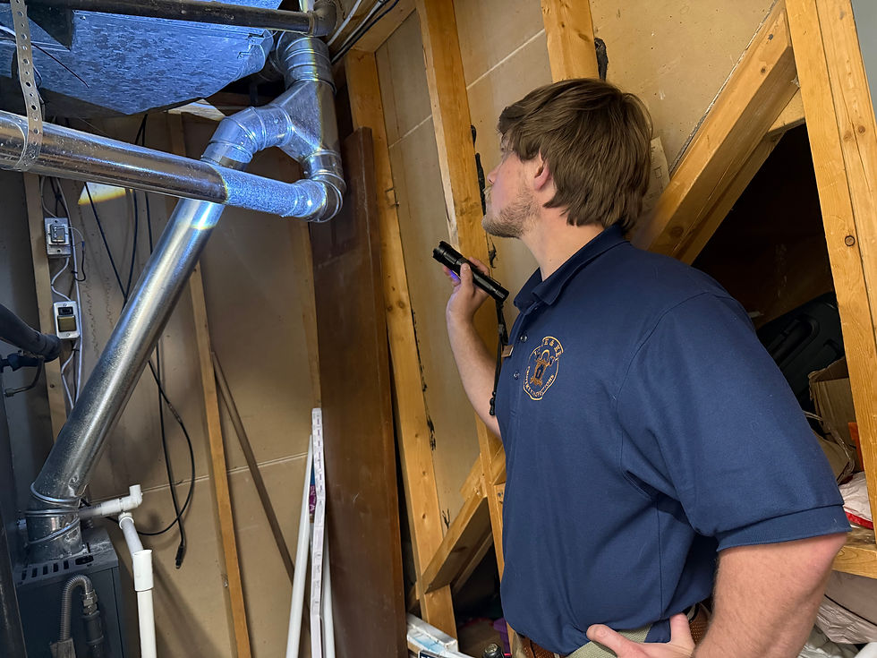 Certified Professional Inspector Graham inspecting furnace vent pipes