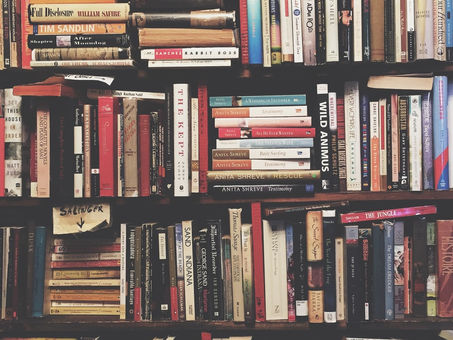What Book are You Writing?
