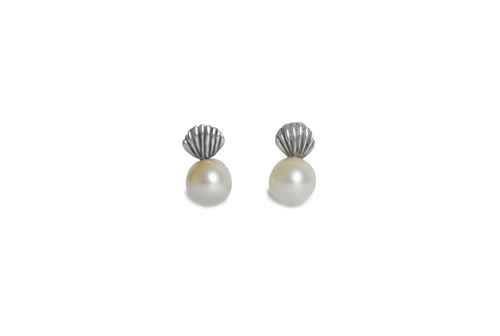 Aretes De Concha de Mar Con Perla