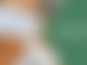 The Home Mortgage Refinance Process