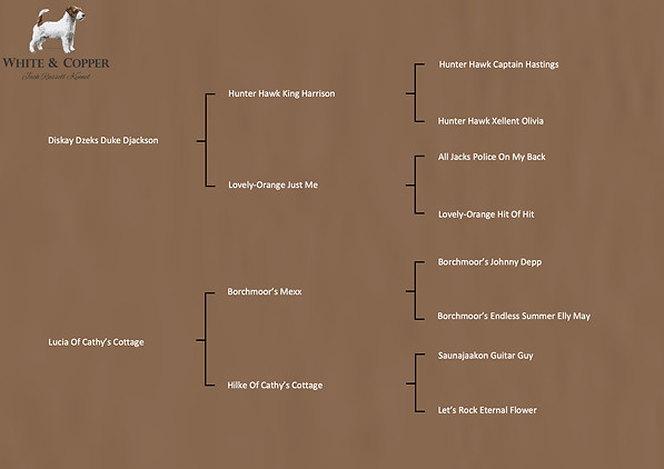 SchermÂafbeelding 2025-11-04 om 10.57_edited.jpg