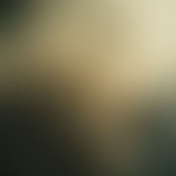 It-Tlieta u Tletin Ħadd ta' Matul is-Sena ⚔️