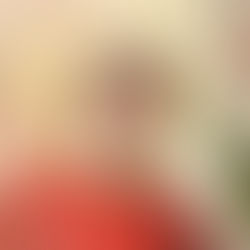 Il-Bijografija ta' San Lawrenz